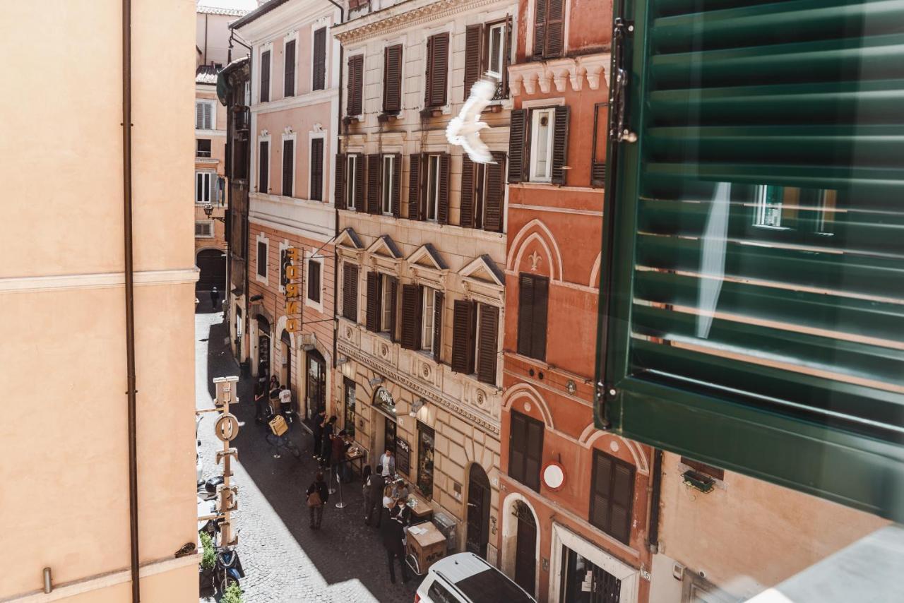 Nikis Collection Navona — Photos 1